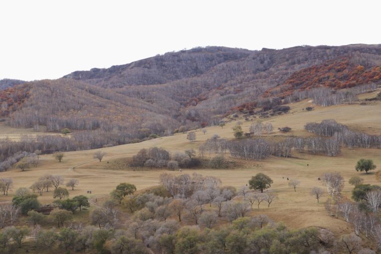Embracing the Great Outdoors: A Journey of Self-Discovery